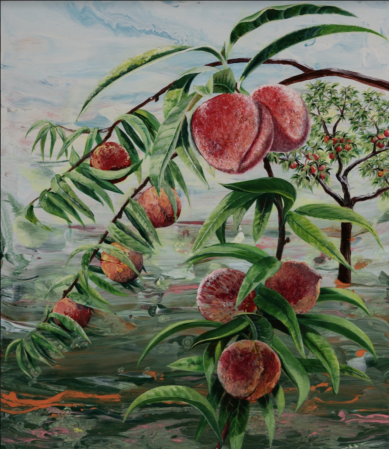 Peaches by Shauna Scott