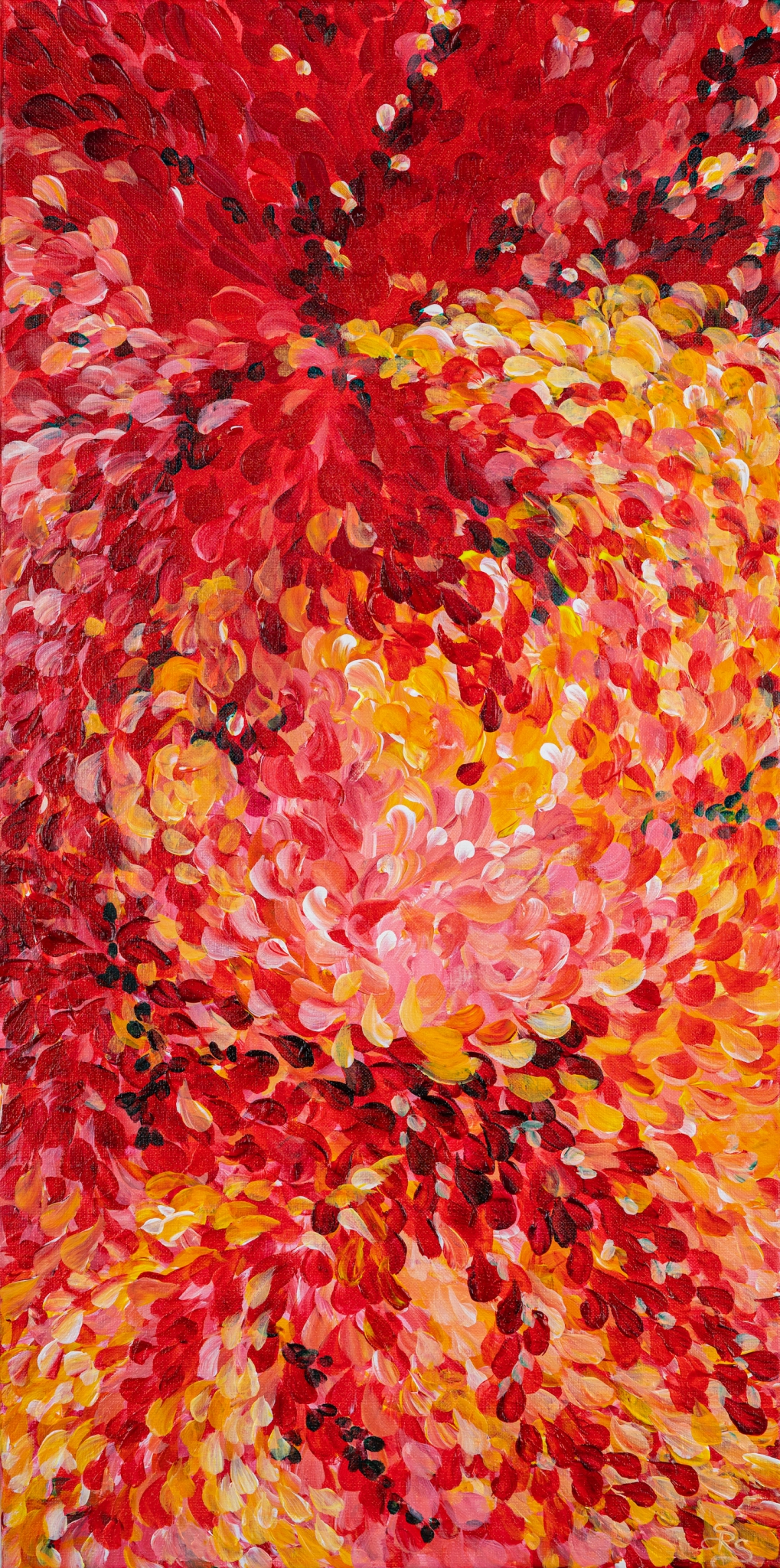 Click here to view Red1 by Shauna Scott