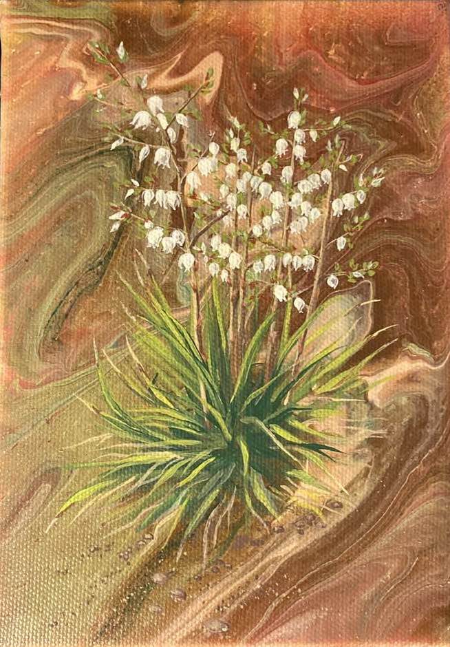Click here to view Yucca by Shauna Scott
