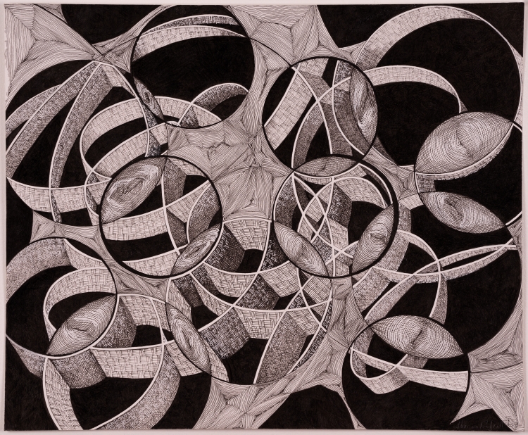 Basketcase by Shauna Scott
